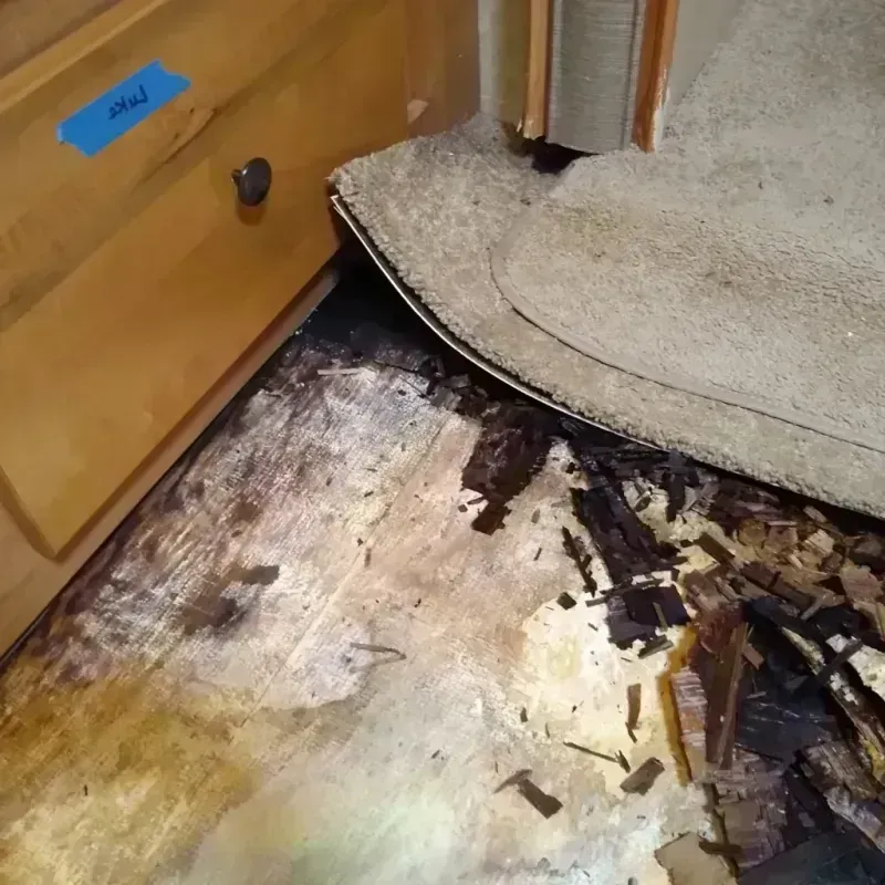 Best Wood Floor Water Damage Service in Roodhouse, IL